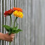 一度冷めた気持ちは戻らない?優柔不断な男性との結末